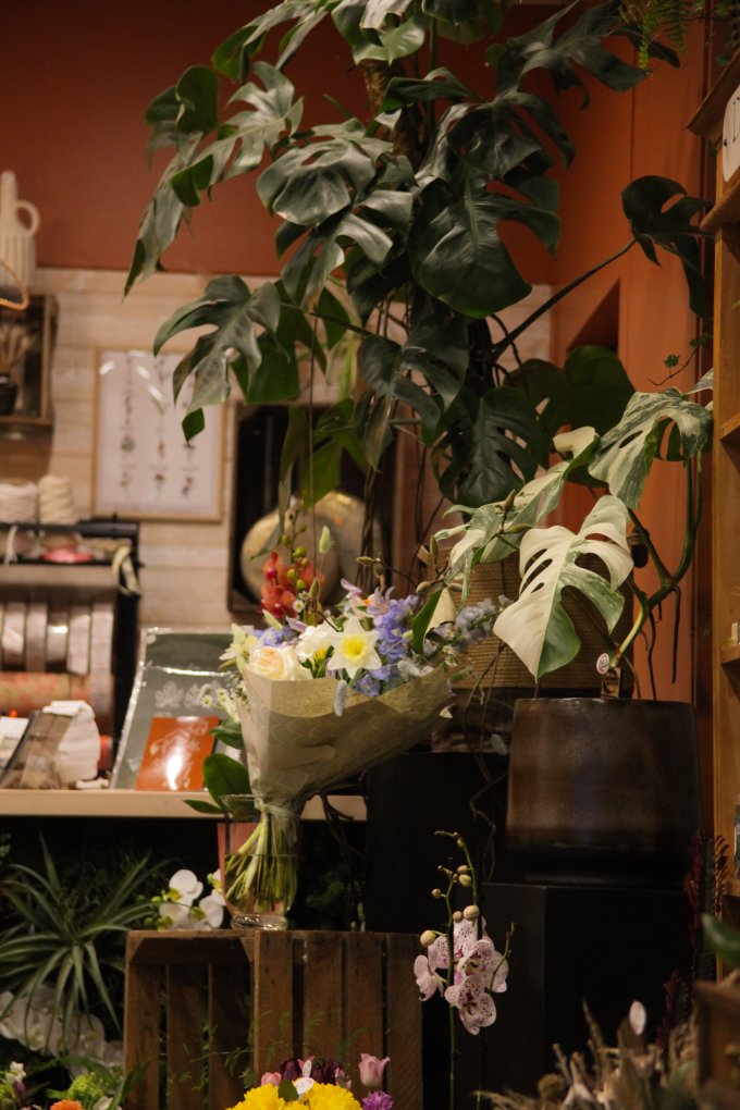 Un parfum de souvenir et de tendresse photo 13